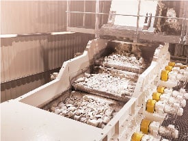 hazemag roller screen